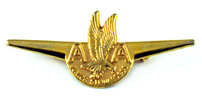 American Airlines Junior Stewardess Wings
