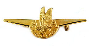American Airlines Junior Pilot Wings