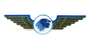 Aeromexico Wings