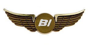 Braniff International Airways Wings