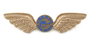 China Airlines Wings