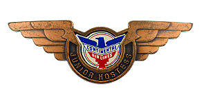 Continental Airlines Junior Hostess Wings