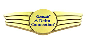 Comair Comair Delta Connection Wings
