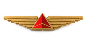 Delta Air Lines Wings (gold)