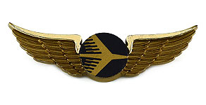 Jet America (1981-1987) Wings