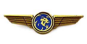MGM Grand Air Wings