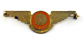National Airlines Junior Stewardess Wings