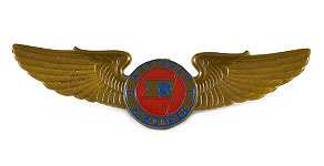 National Airlines Wings