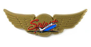Spirit Airlines Wings