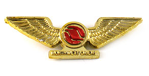 Northwest Airlines Wings