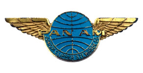 Pan American World Airways Junior Clipper Stewardess Wings