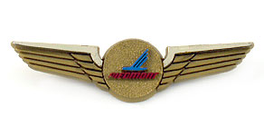 Piedmont Airlines Wings