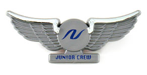 National Airlines (1999-2002) Junior Crew Wings
