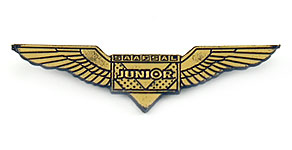 South African Airways Junior Wings
