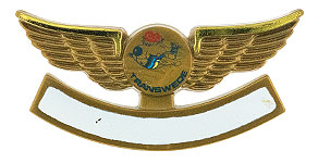 Transwede Airways Wings