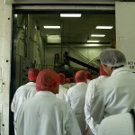 The tour walks into the room that produces 12,000 bags of ice every day.