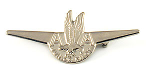 American Airlines Junior Pilot Wings