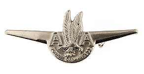 American Airlines Junior Stewardess Wings