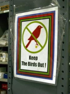 Apparently, the birds obey the signs, because I didn't see any.